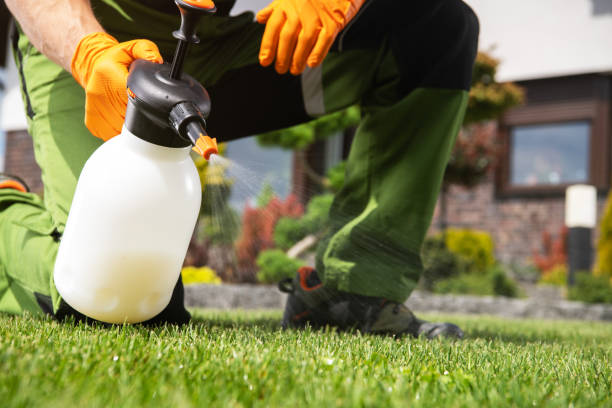 Best Pest Removal Services  in Skagway, AK